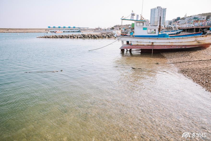 바다위에 떠있는 어선과 갈매기를 만나는 삼길포항 사진