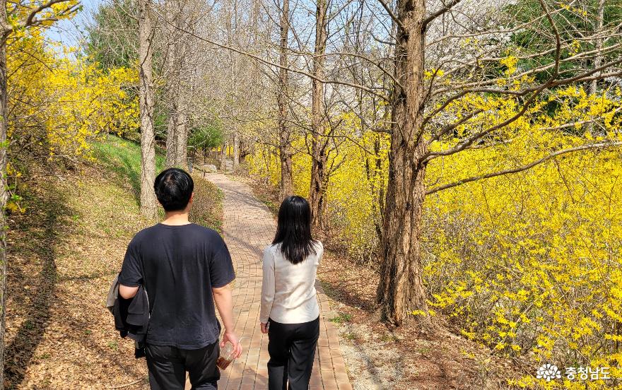 호서대학교 아산캠퍼스의 시크릿 오솔길. 나래호와 생활관사이에 있다. 