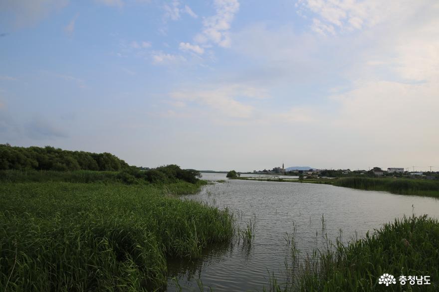 수변생태계 복원과 친환경 공간으로 조성되게 될 서산의 잠홍저수지 사진