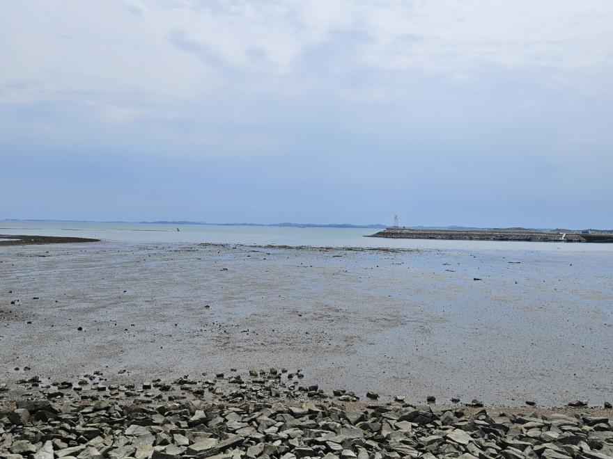 홍성 남당항 해양공원 그들의 변신이 기대된다