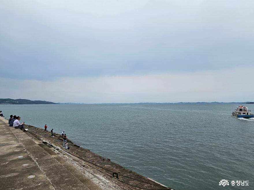 홍성남당항해양공원그들의변신이기대된다 6