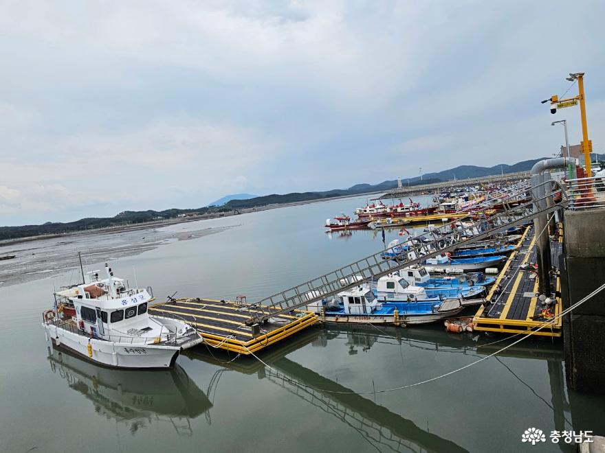 홍성남당항해양공원그들의변신이기대된다 12
