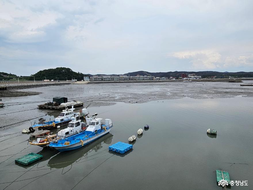 홍성남당항해양공원그들의변신이기대된다 18