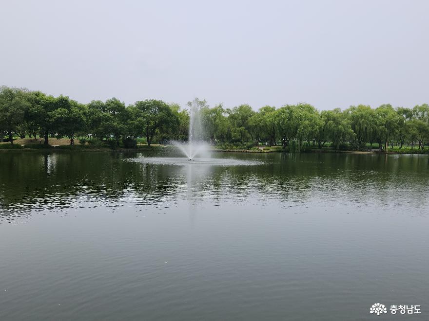 현존하는 백제시대의 별궁 연못 궁남지에서 낭만을 즐기다 사진