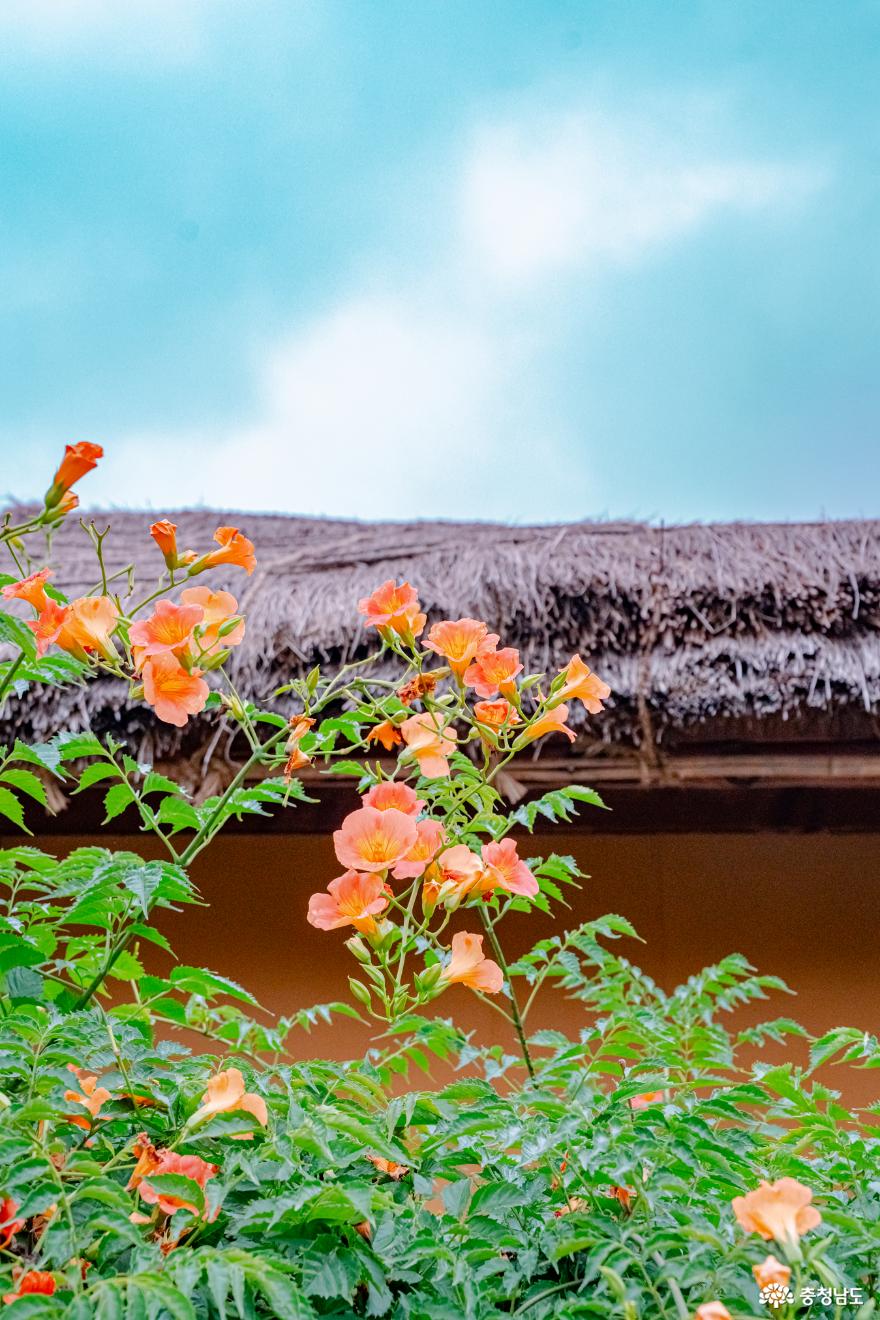 아산 외암민속마을과 건재고택의 고즈넉한 풍경여행 사진
