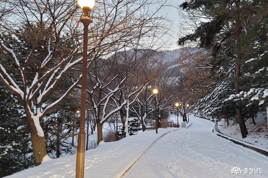 호서대학교 세출저수지의 눈 내린 산책로 풍경.  