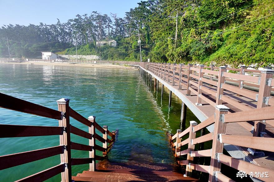 태안해안국립공원만리포해수욕장아름다운바다에서여름즐기기 8