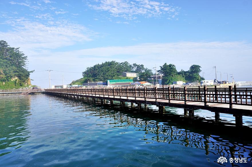 태안해안국립공원만리포해수욕장아름다운바다에서여름즐기기 9
