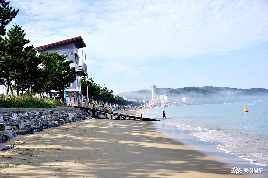 태안해안국립공원만리포해수욕장아름다운바다에서여름즐기기 13
