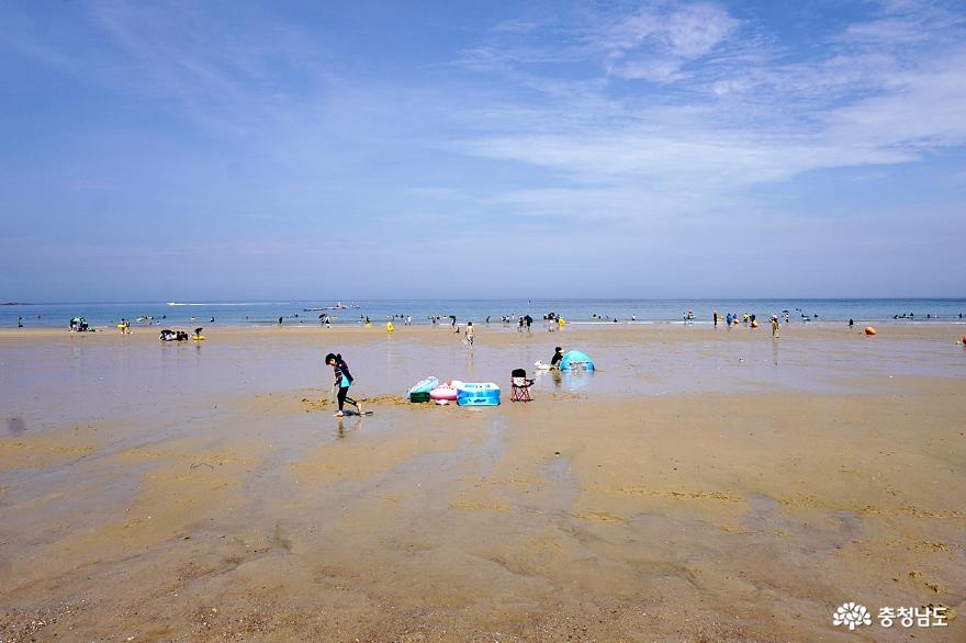 태안해안국립공원만리포해수욕장아름다운바다에서여름즐기기 17