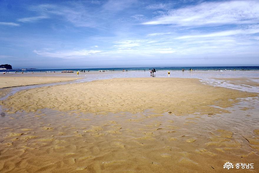 태안해안국립공원만리포해수욕장아름다운바다에서여름즐기기 19