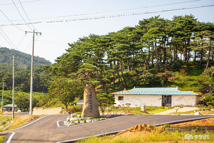 충남으로 오셔유 청양 앵무새 정원 꽃단지 카페와 홍성 솔바람테마파크 사진