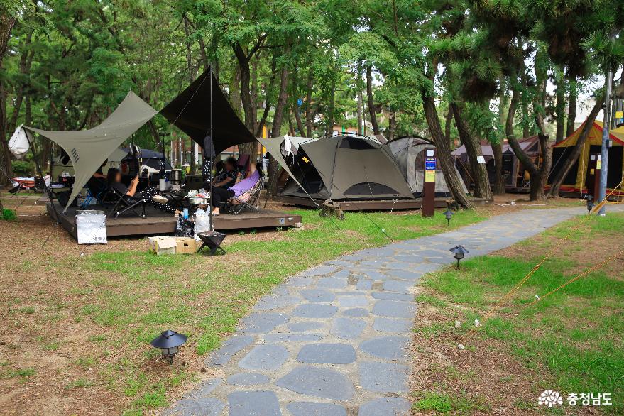 대천해수욕장 국민여가캠핑장에서 캠핑을 즐기는 사람들