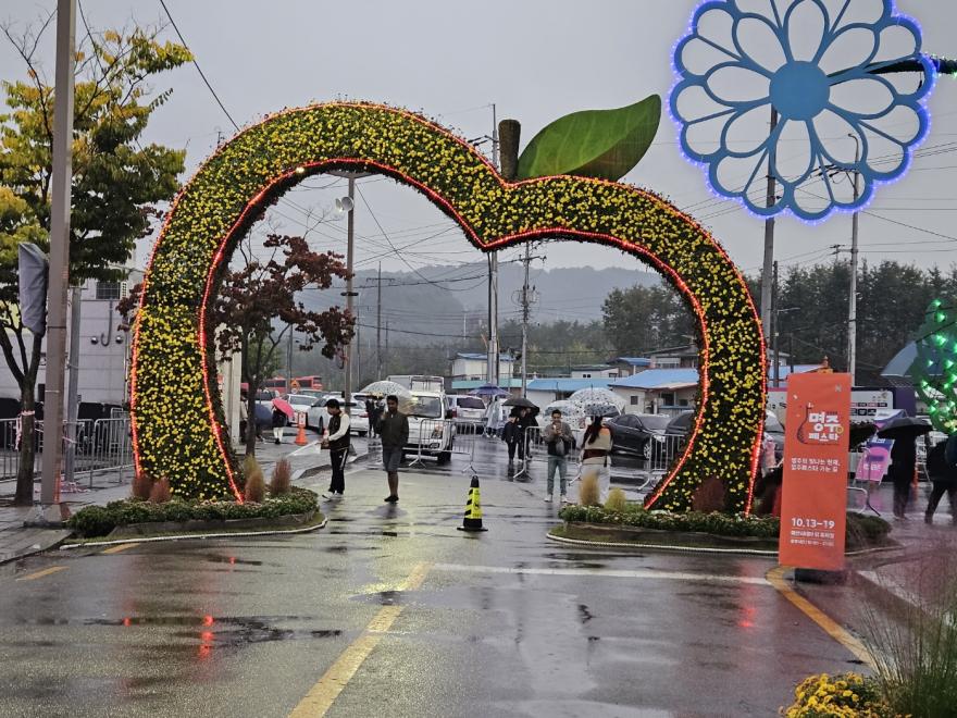 예산 삼국축제에서 국화 꽃길을 걷다