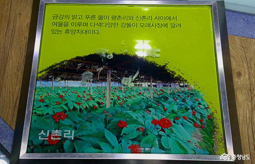 충남금산캠핑여행국민여가캠핑장과금강생태학습관 12