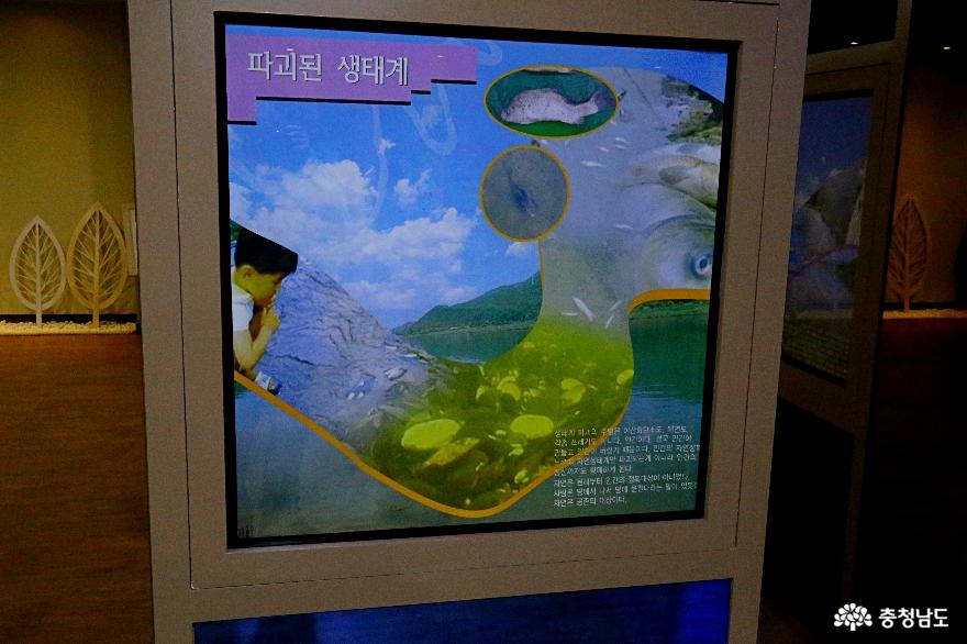 충남금산캠핑여행국민여가캠핑장과금강생태학습관 21