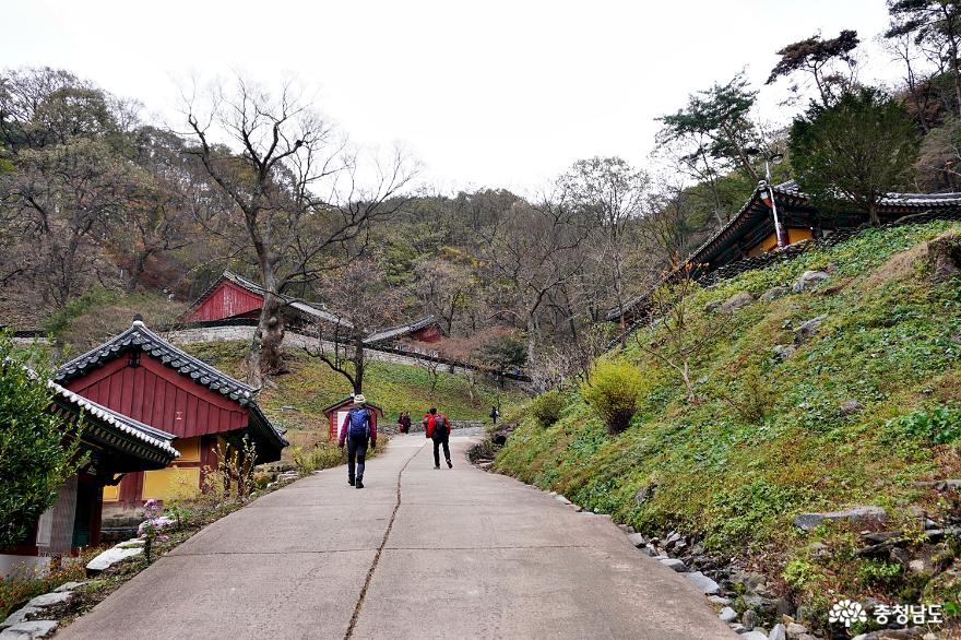 칠갑산기슭두개의대웅전이있는청양장곡사국보와보물탐방 3