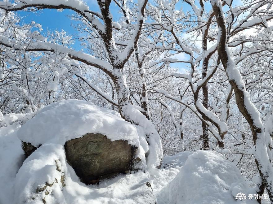 하얀 눈꽃 모자 쓴 광덕산 겨울풍경 사진