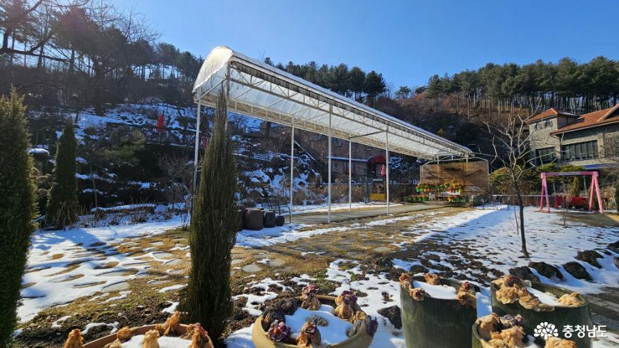 대한민국 민간정원 1호, 천안 아름다운정원화수목 사진