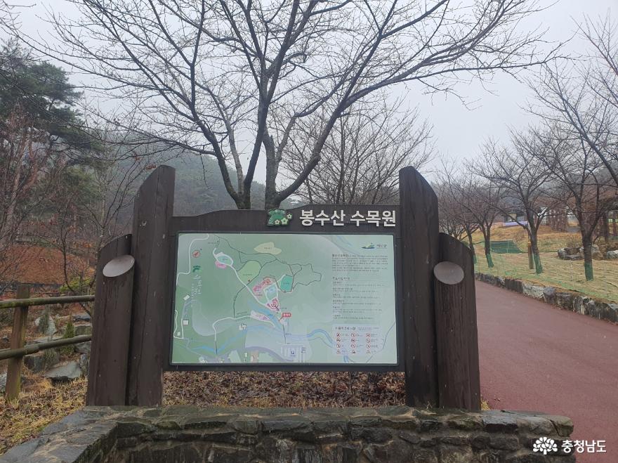 봉수산 수목원 사진