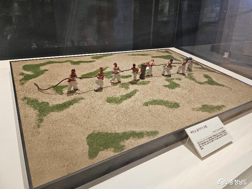 세계문화유산유네스코에등재된당진기지시줄다리기박물관 25