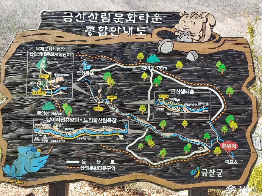 중부권최고의산림힐링단지금산산림문화타운 1