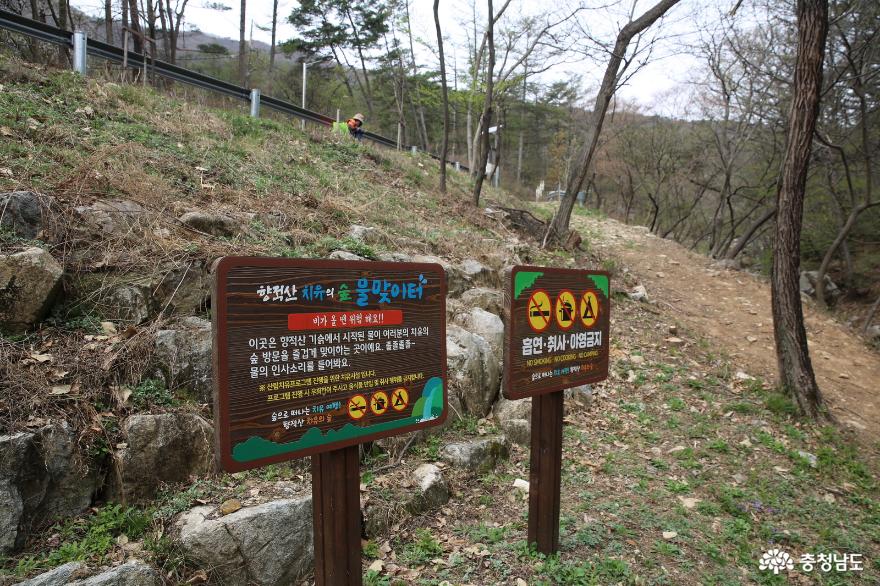 2024년산림청지정생태숲으로자리한계룡시향적산과벚꽃 9