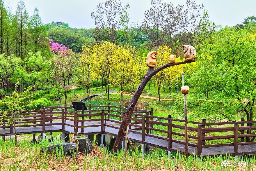 봄이물든수목원나들이장소로딱영인산수목원 10