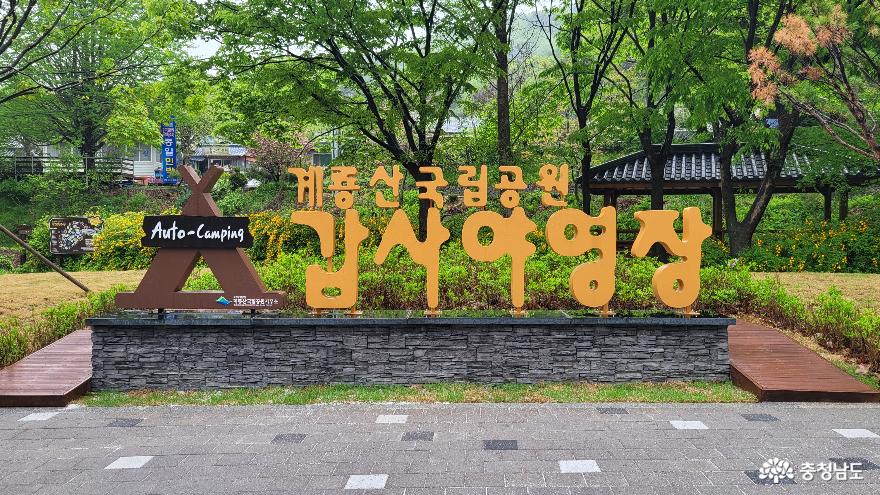 국립공원 계룡산에 개장한 오토 캠핑장.