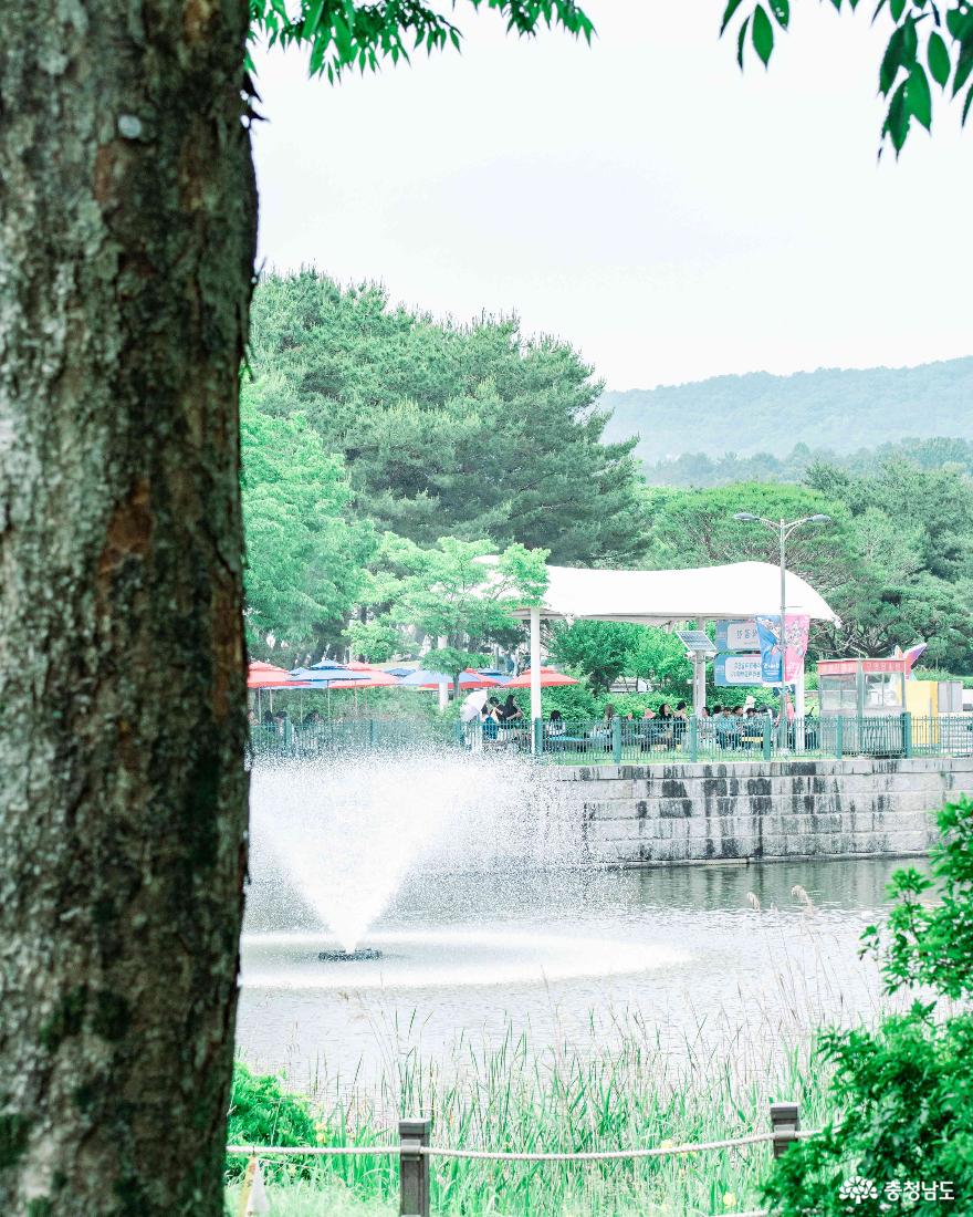 2024 천안 K-컬처박람회 - 백련못 주변에서 휴식을 즐기는 관람객들 