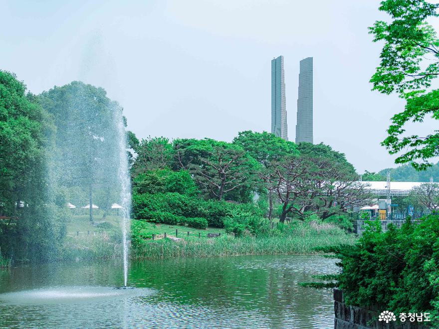 2024 천안 K-컬처박람회 - 백련못의 풍경 III