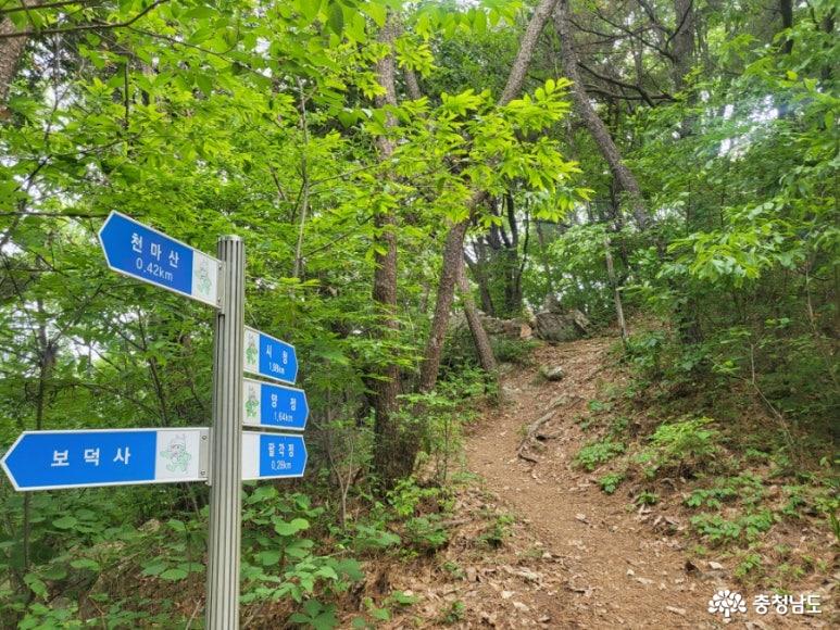 걷기좋은명품숲길계룡금암동천마산 9