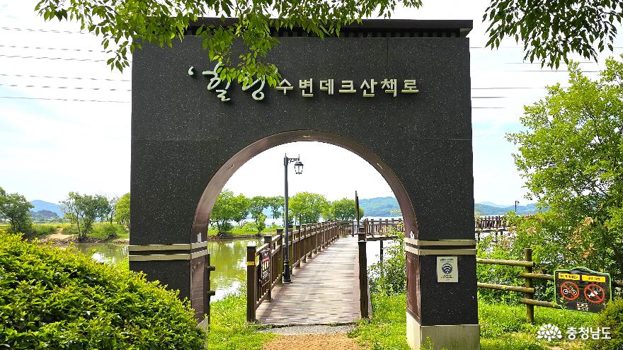 논산탑정호수변생태공원에서의산책 6