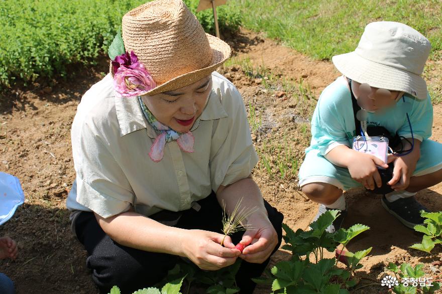 자연의소중함과농업의중요성을배우는어린이농부체험 6