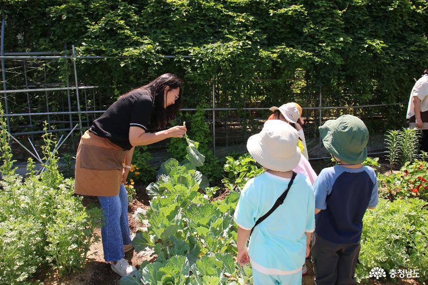 자연의 소중함과 농업의 중요성을 배우는 어린이 농부체험 사진