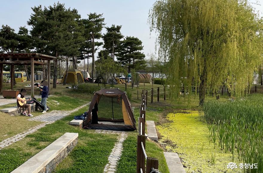 천안 신방공원 생태연못 인근도 텐트 피칭 인기장소다.