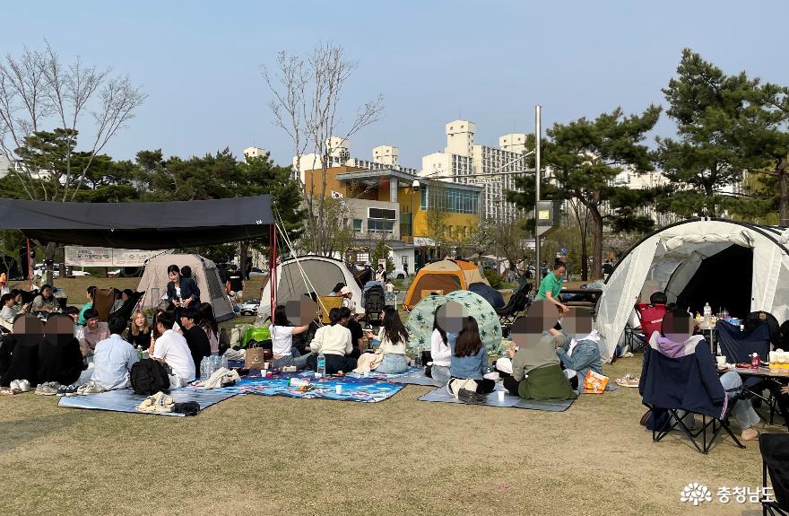 천안 신방공원 잔디광장에서 피크닉을 즐기는 시민들. 
