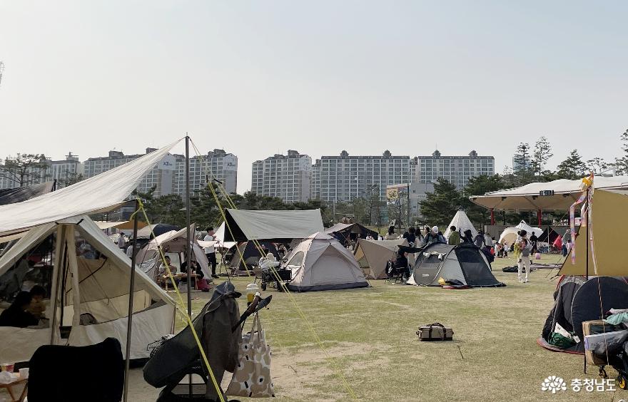 천안시 동남구 신방공원에서 캠핑과 피크닉을 동시에 즐기는 시민들.