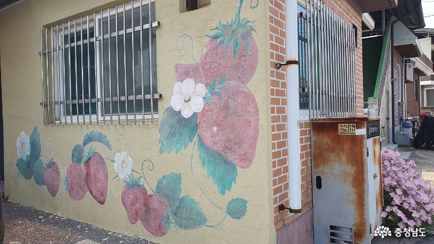 벽화와 함께 어우러진 꽃길을 걷는 논산와야리벽화마을 사진
