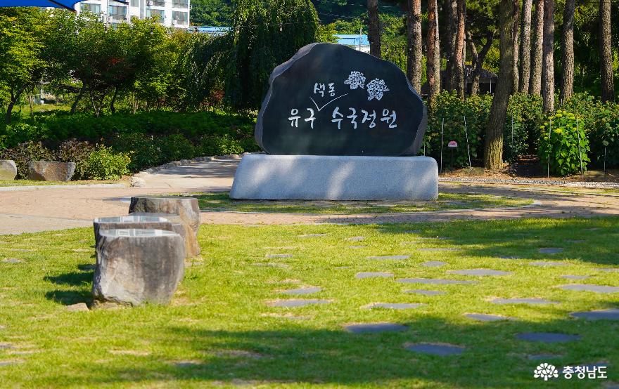 유구색동수국정원 광장