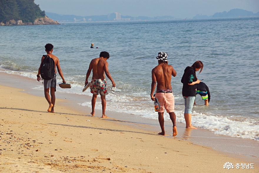힘쎈 충남 - 반가운 여름 시원한 대천 해수욕장