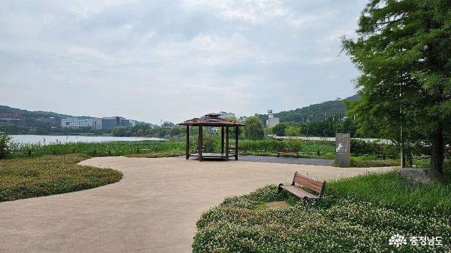 천호지 근린공원 '초록마당'