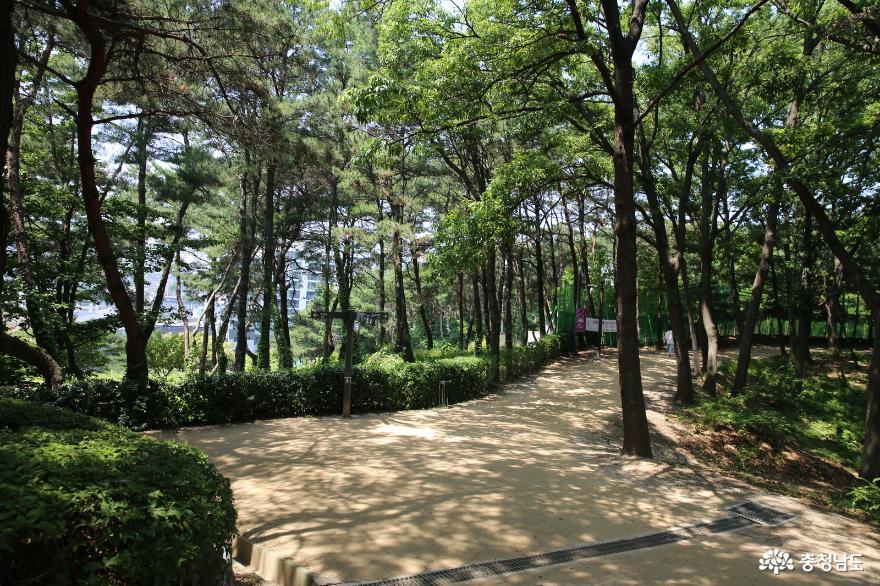 여름에 건강을 챙기며 걷기에도 좋은 추천여행지 당진의 남산공원