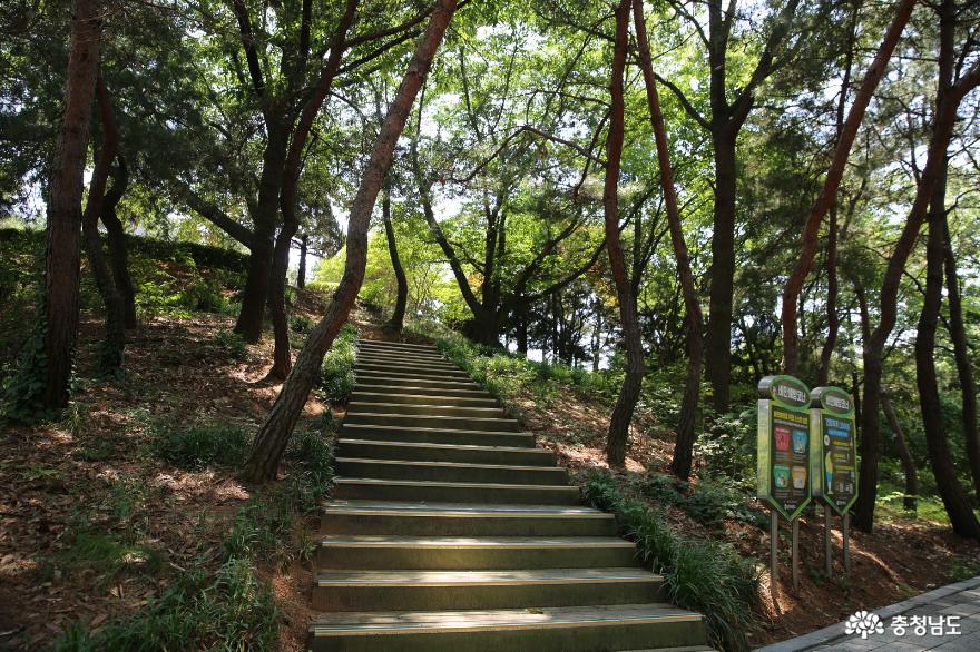 여름에 건강을 챙기며 걷기에도 좋은 추천여행지 당진의 남산공원 사진