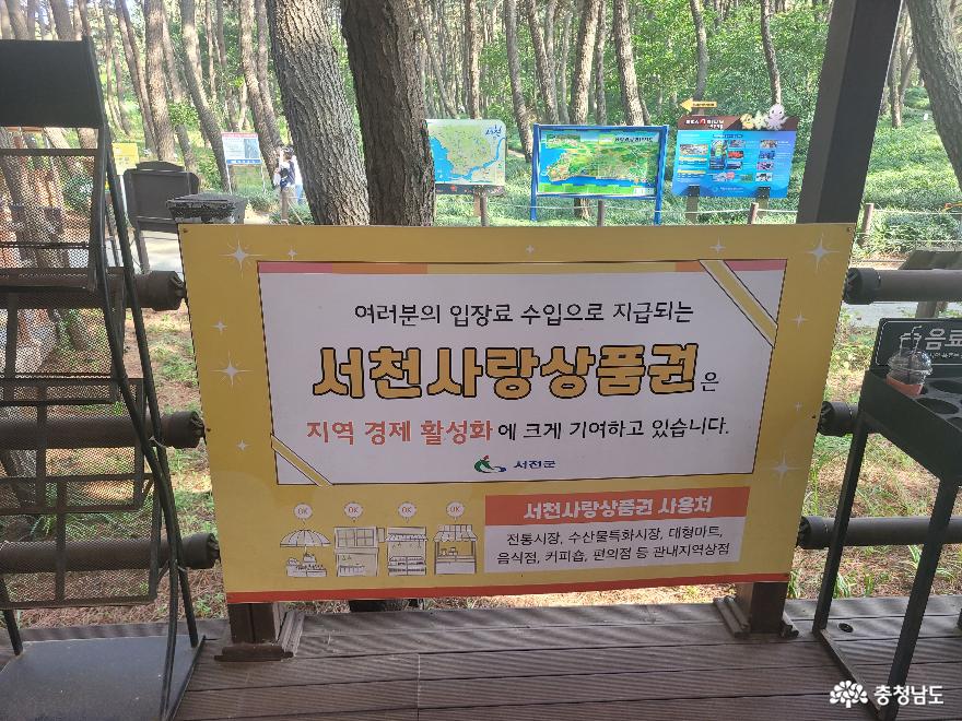 충남서천갯벌과장항송림산림욕장스카이워크 5