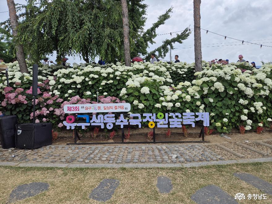 유구색동수국정원꽃축제
