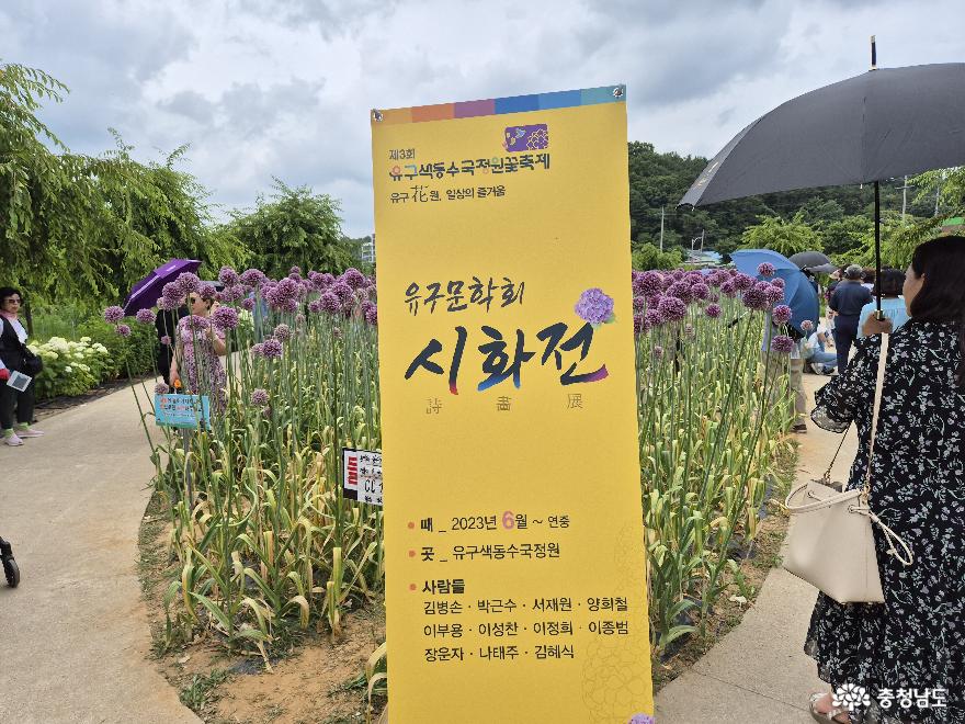 유구색동수국정원꽃축제 사진