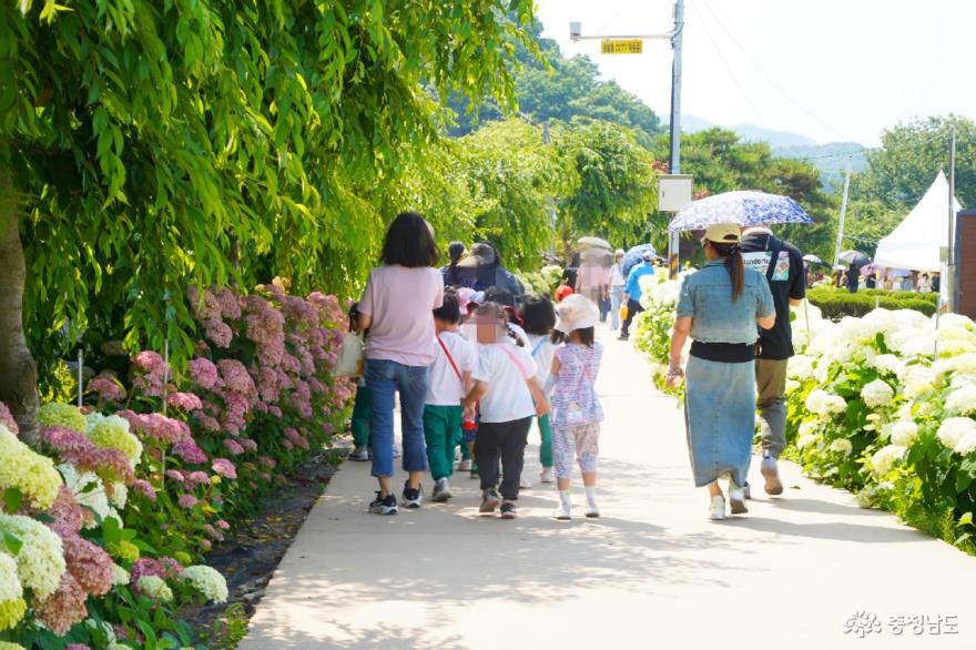 제3회 유구색동수국정원 꽃축제장에는 어린 방문객들도 보였다.