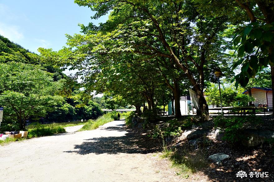 청양에서 시원한 여름나기 칠갑산오토캠핑장과 까치내계곡 사진