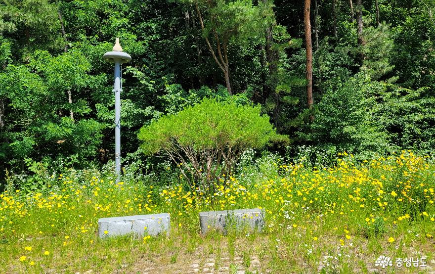 공주 출신 이삼평, 일본 도자기의 시조가 되다-이삼평공원 사진